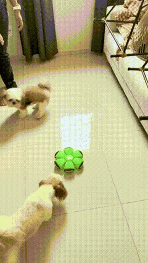 Bola Mágica Interativa Pet – Brinquedo Voador para Cães